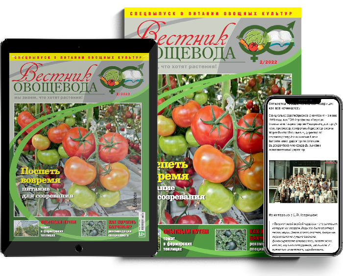 Gavrish.media Gavrish.media