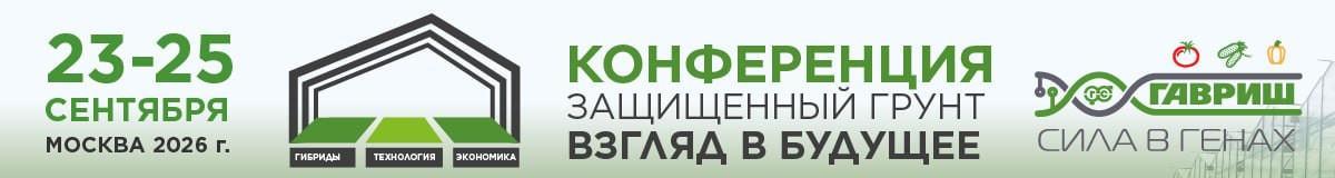 Gavrish.media Gavrish.media